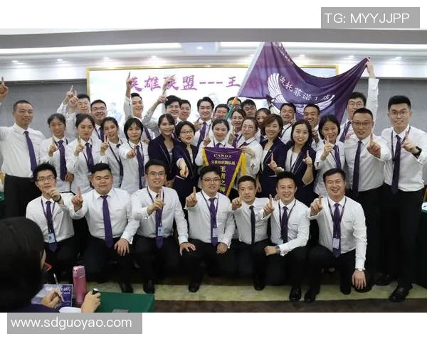 深圳排球队运营策略分析与成败经验总结