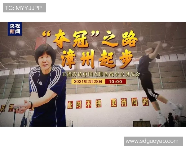 南京排球队的奋斗与荣耀：一段不平凡的排球纪实之旅