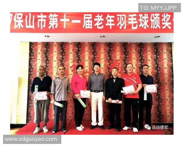 南京羽毛球队的深度解析与控制策略探秘