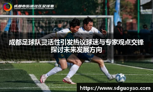 成都足球队灵活性引发热议球迷与专家观点交锋探讨未来发展方向