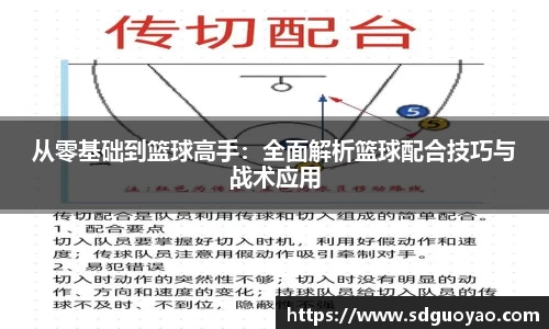从零基础到篮球高手：全面解析篮球配合技巧与战术应用