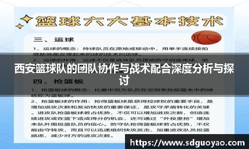 西安篮球队的团队协作与战术配合深度分析与探讨