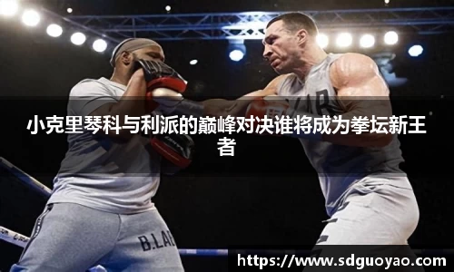 小克里琴科与利派的巅峰对决谁将成为拳坛新王者