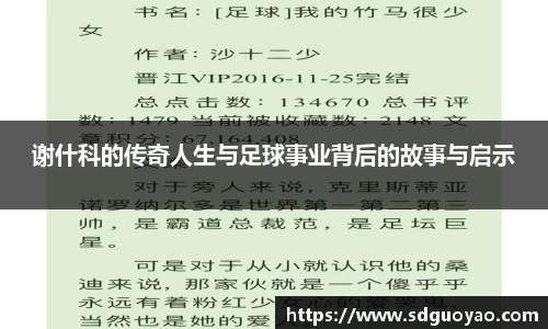 谢什科的传奇人生与足球事业背后的故事与启示