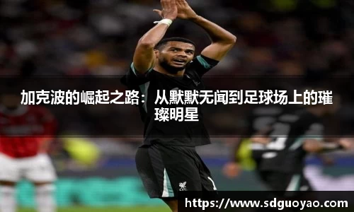 米兰体育官网