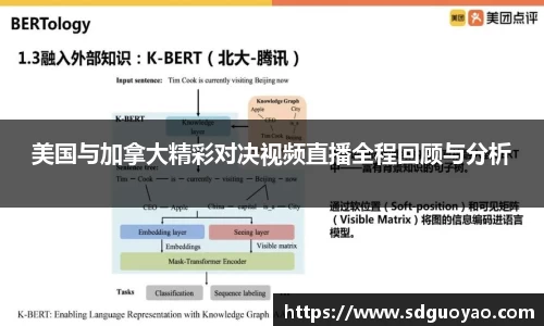 美国与加拿大精彩对决视频直播全程回顾与分析