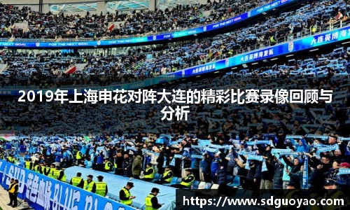 2019年上海申花对阵大连的精彩比赛录像回顾与分析